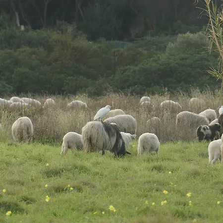 Aguadora 公寓 SantʼAntìoco