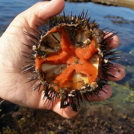 Aguadora SantʼAntìoco