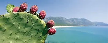 Aguadora SantʼAntìoco