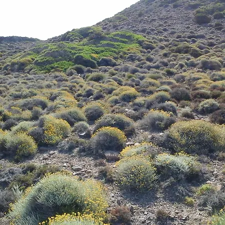Aguadora Sant'Antioco