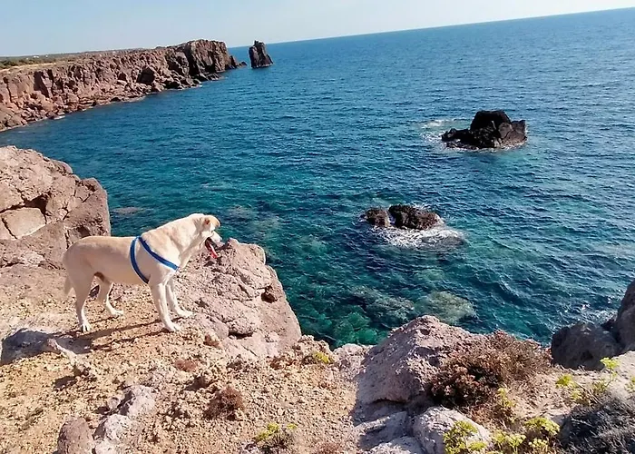 Апартаменты Aguadora Сант-Антиоко