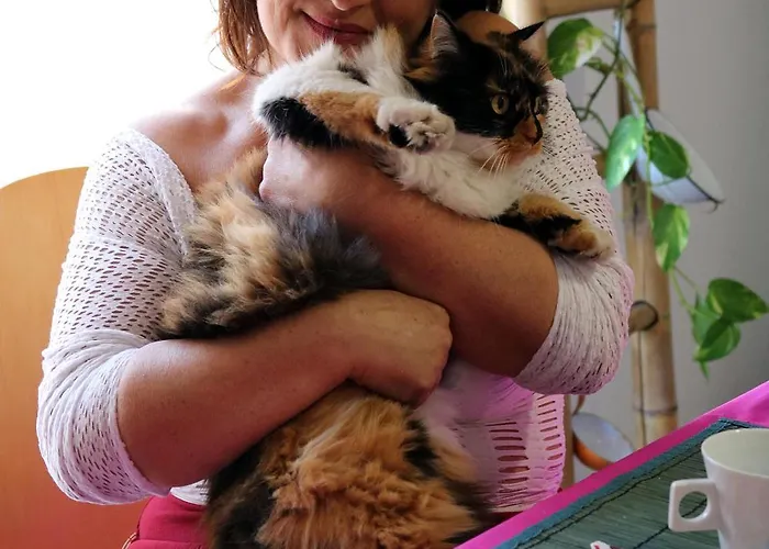 Aguadora * Сант-Антиоко