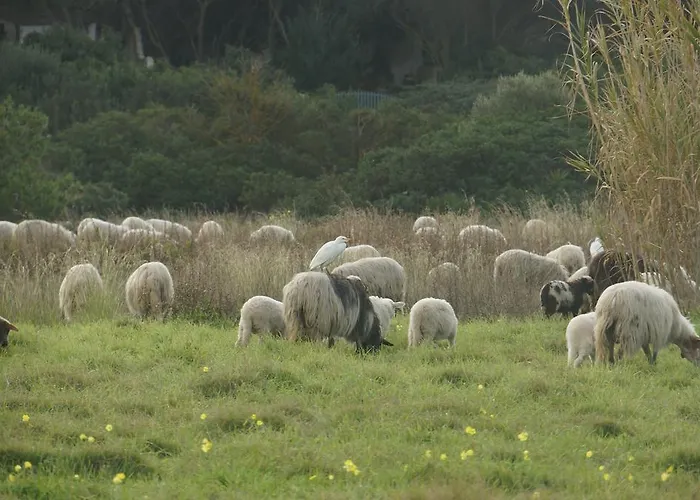 Aguadora Апартаменты Сант-Антиоко